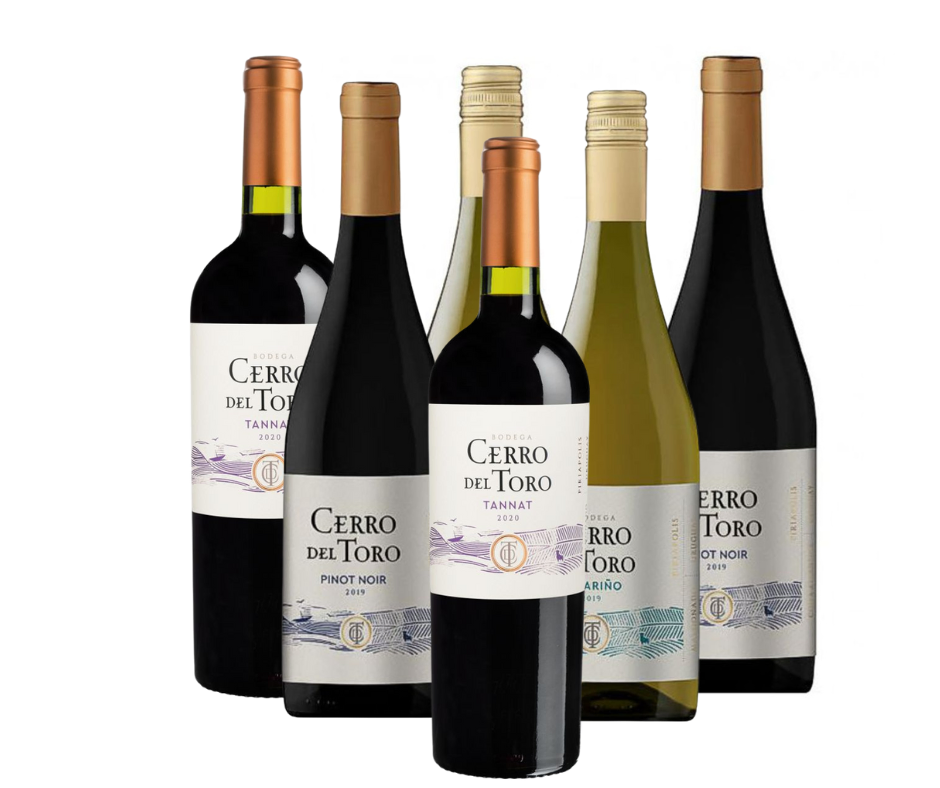 VINO CERRO DEL TORO CLASICO PROMO X 6 - Imagen principal