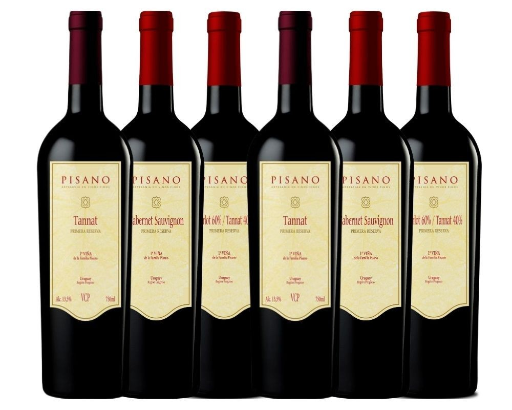 Vino pisano varietal promo x 6 - Imagen principal