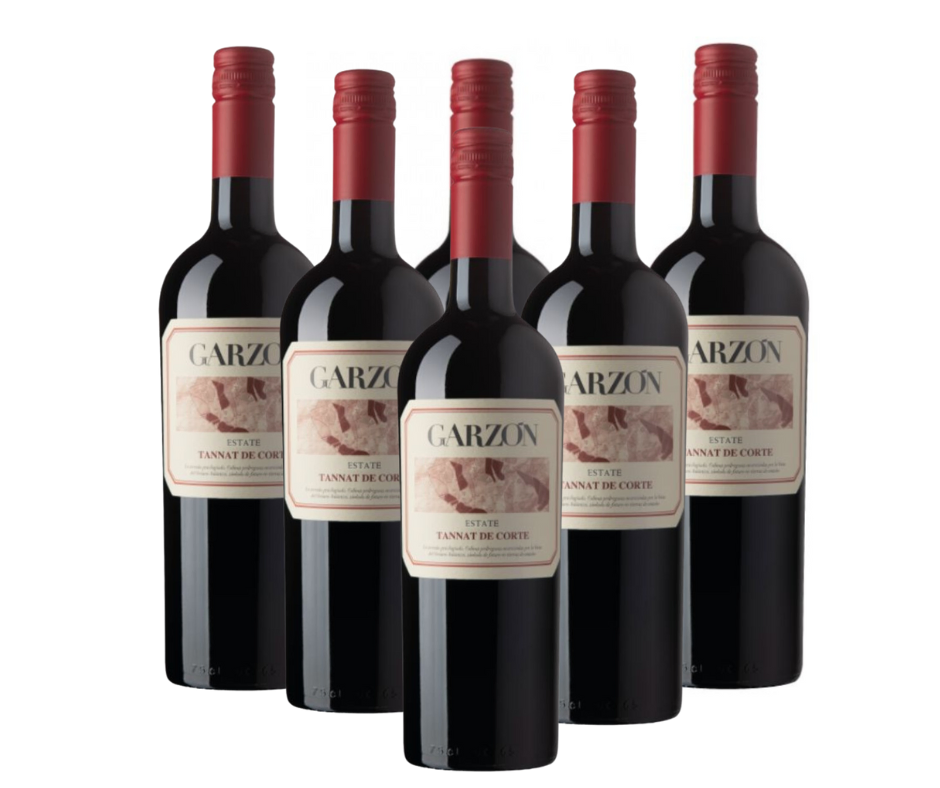 Vino garzon tannat de corte promo x 6 - Imagen principal