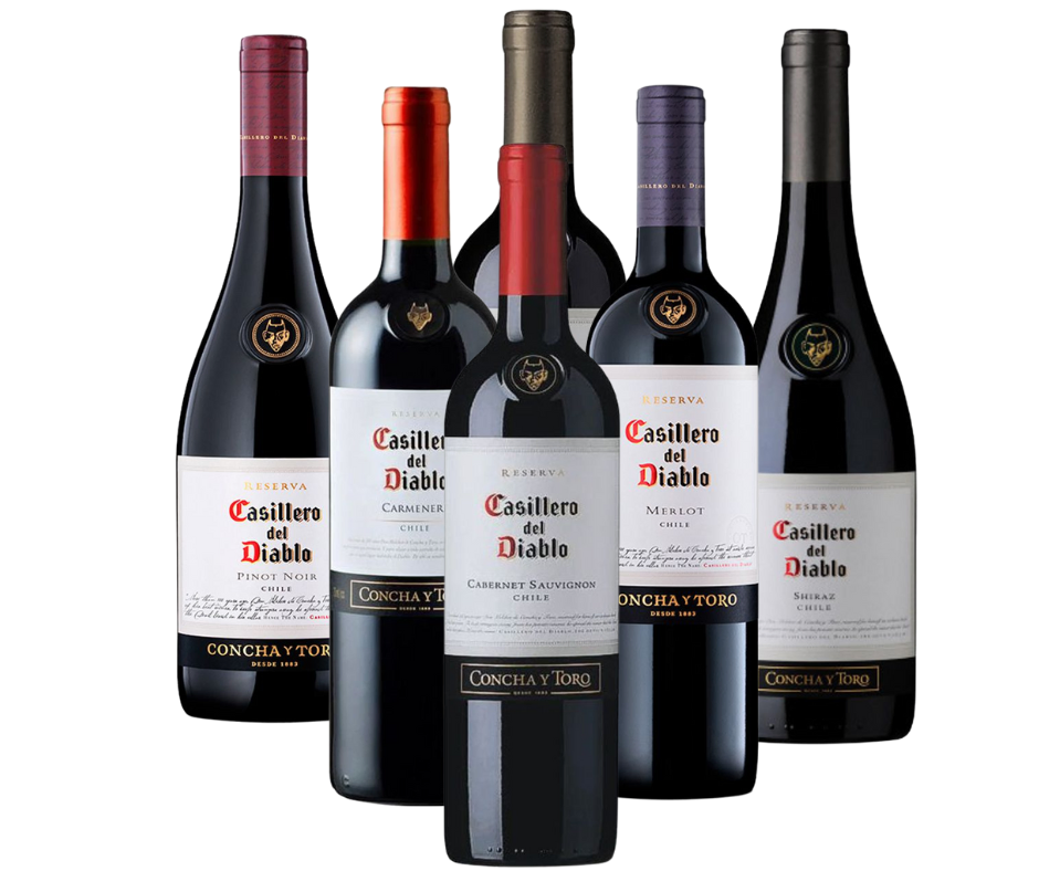 VINO CASILLERO DEL DIABLO CHILENO PROMO X 6 - Imagen principal