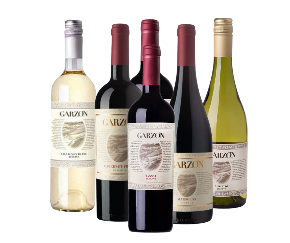 Vino garzon reserva promo x 6 - Imagen principal