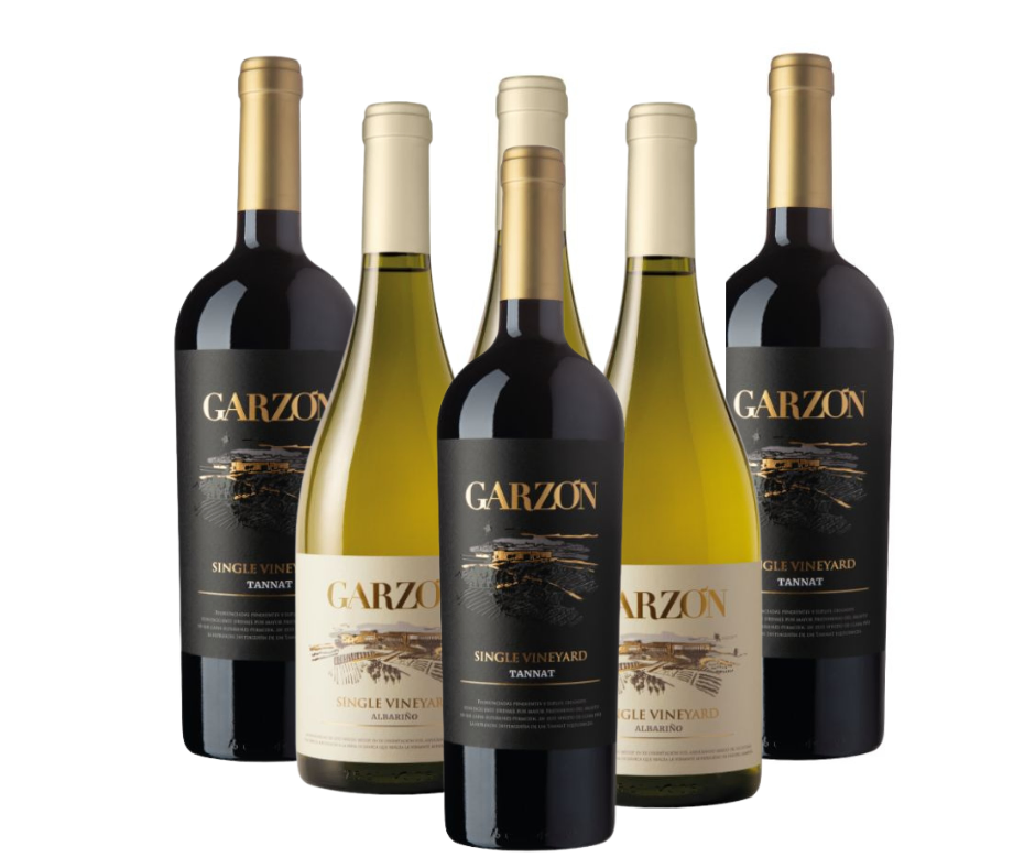 Vino garzon single vineyard promo x 6 - Imagen principal