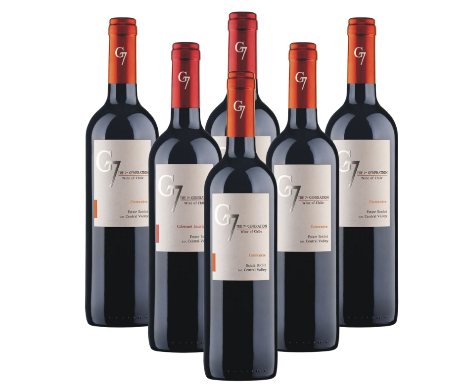 VINO G 7 CHILENO PROMO  X 6 - Imagen principal