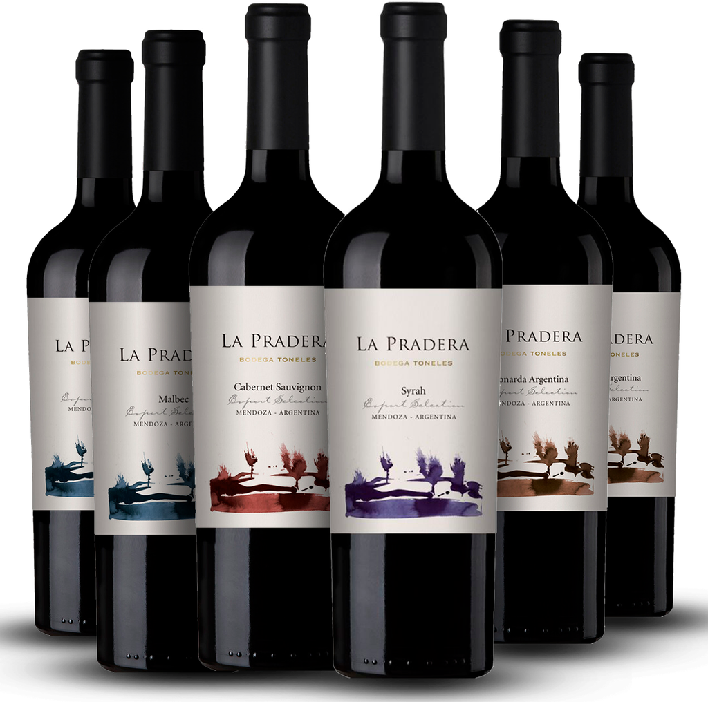 Vino la pradera promo x 6 - Imagen principal