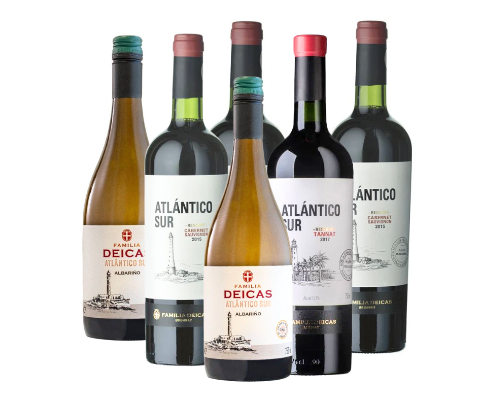 Vino atlantico sur promo x 6