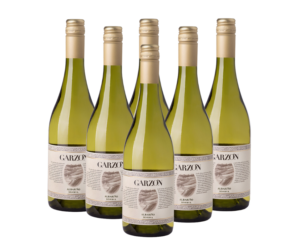 Vino garzon reserva albariño promo x 6 - Imagen principal