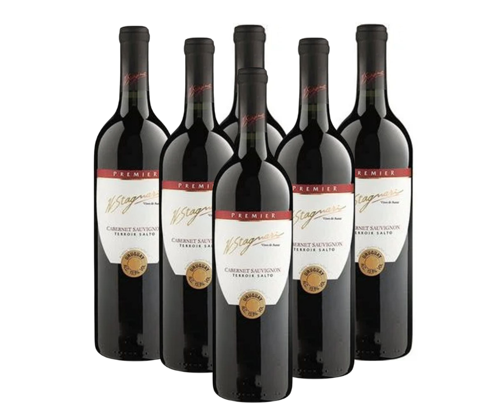 VINO H.STAGNARI CABERNET SAUVIGNON PROMO X 6 - Imagen principal