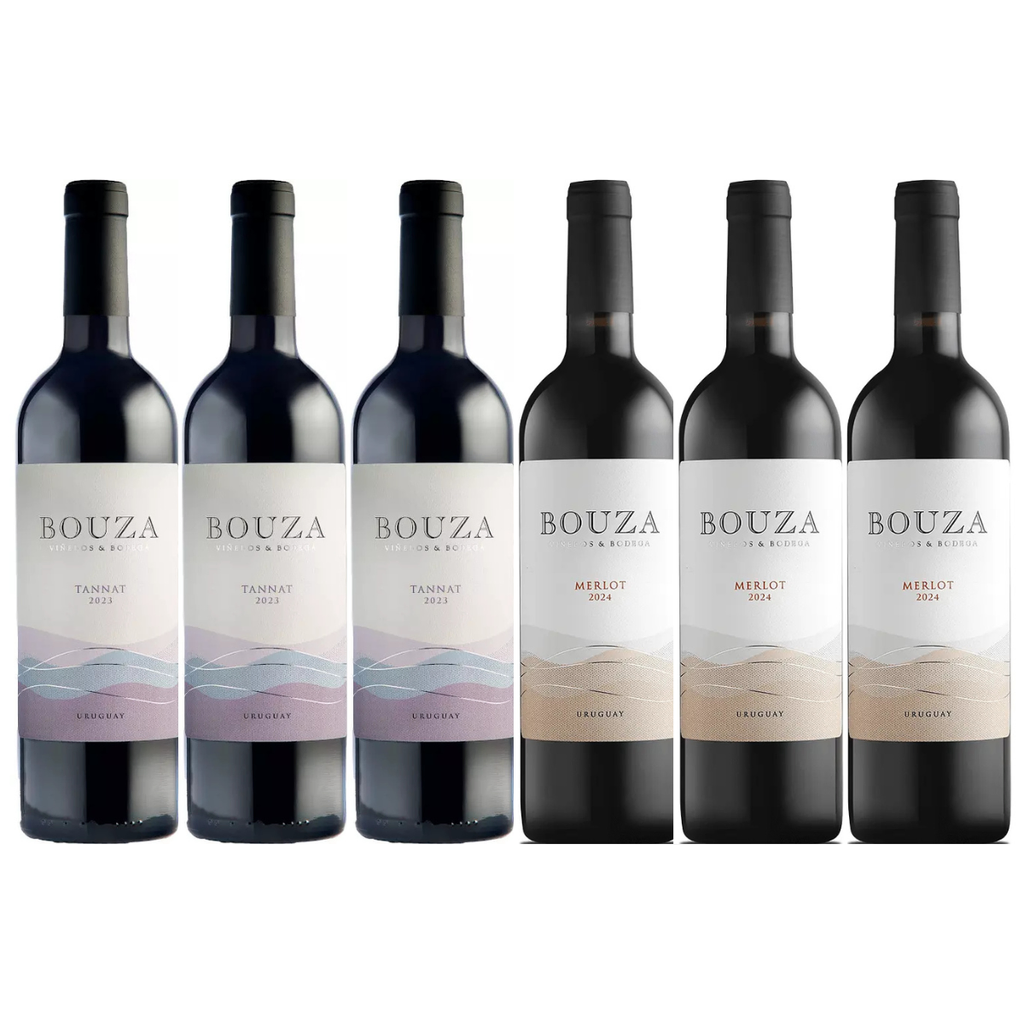 Vino bouza promo x 6 - Imagen principal