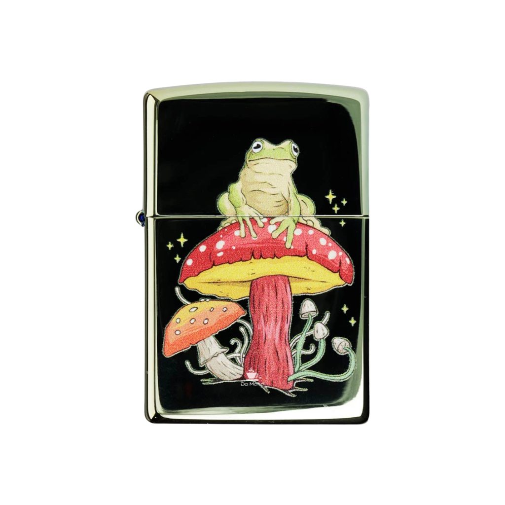 ZIPPO 48973 MYSTICAL FROG - Imagen principal