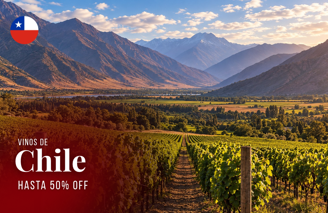 Vinos en oferta - Imagen 2