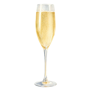 CHAMPAGNE Y ESPUMANTES
