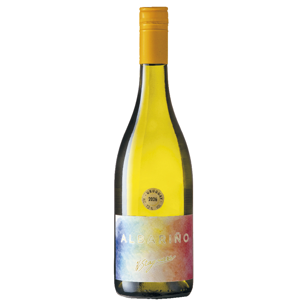 VINO H.STAGNARI ALBARIÑO 750 ML - Imagen principal