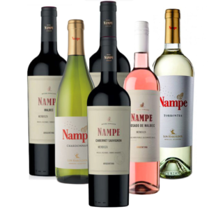 vino-nampe-promo-x-6