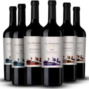 vino-la-pradera-promo-x-6